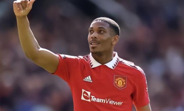 轧胚机 预处理设备